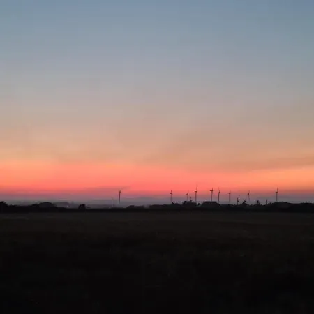 Oak Tree Lane Country Bridgetown (Wexford)