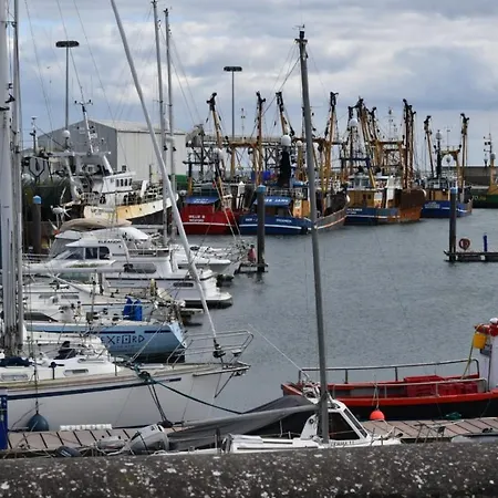 Bed and Breakfast Oak Tree Lane Country