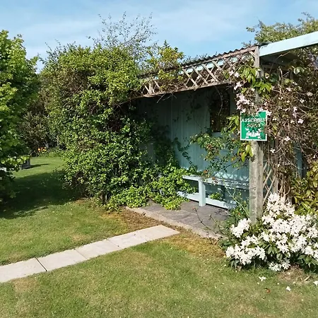 Bed & Breakfast Oak Tree Lane Country Bridgetown (Wexford)