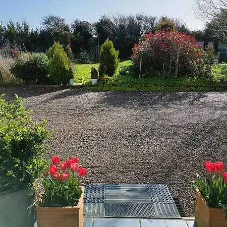 Bed & Breakfast Oak Tree Lane Country Bridgetown (Wexford)