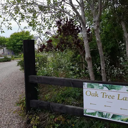 ベッド・アンド・ブレックファスト Oak Tree Lane Country *