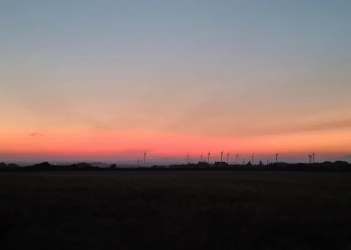 Oak Tree Lane Country Bridgetown (Wexford)