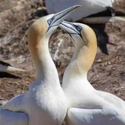 Frühstückspension Oak Tree Lane Country 4*