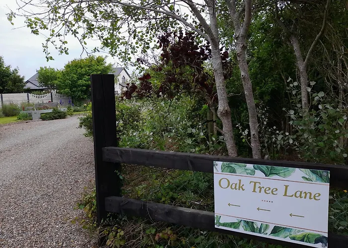 Bed and breakfast Oak Tree Lane Country 4*